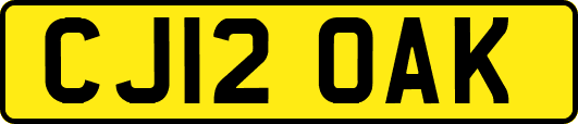 CJ12OAK