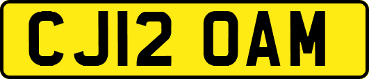 CJ12OAM