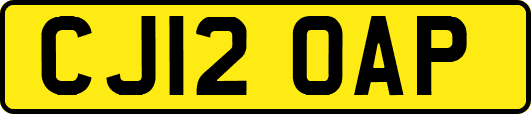 CJ12OAP