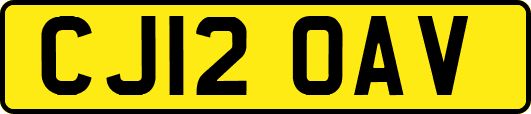 CJ12OAV