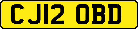 CJ12OBD