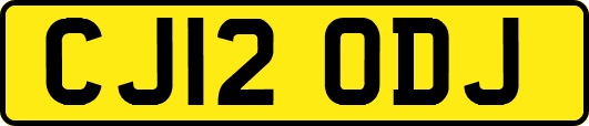 CJ12ODJ