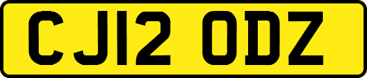 CJ12ODZ