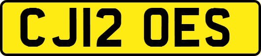CJ12OES