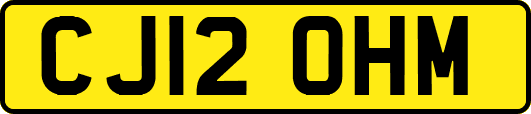 CJ12OHM