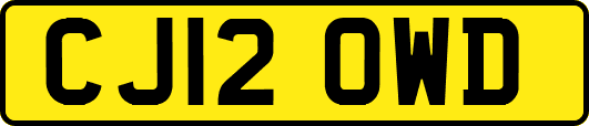 CJ12OWD