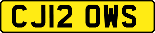 CJ12OWS