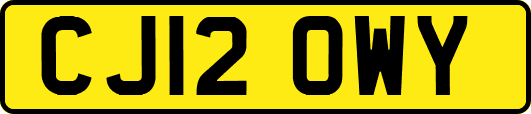 CJ12OWY