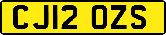 CJ12OZS