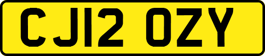 CJ12OZY