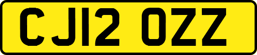 CJ12OZZ