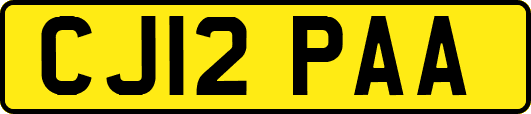 CJ12PAA