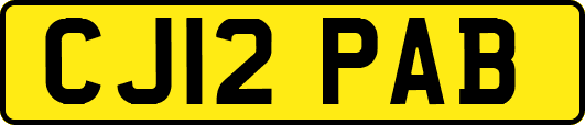 CJ12PAB