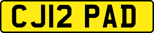 CJ12PAD