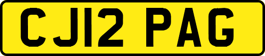 CJ12PAG