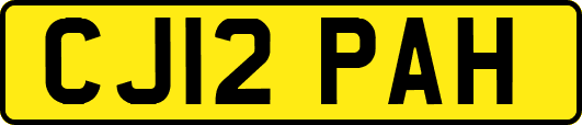 CJ12PAH