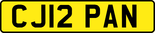 CJ12PAN