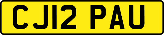 CJ12PAU