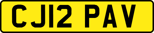 CJ12PAV