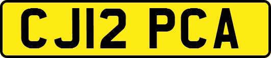 CJ12PCA