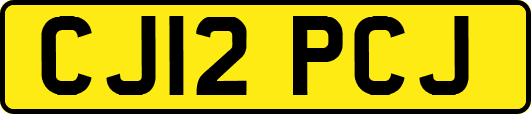 CJ12PCJ