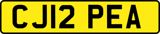 CJ12PEA