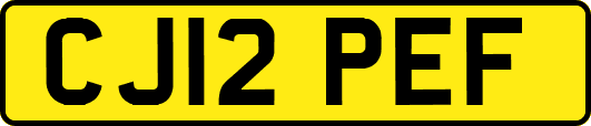 CJ12PEF