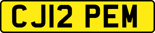 CJ12PEM