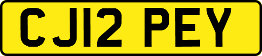 CJ12PEY