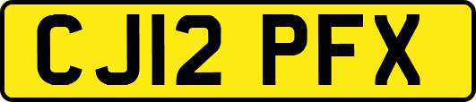 CJ12PFX