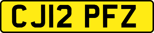 CJ12PFZ