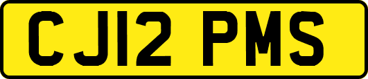 CJ12PMS