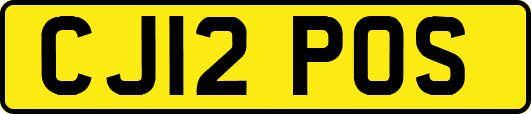 CJ12POS