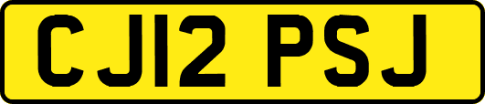 CJ12PSJ