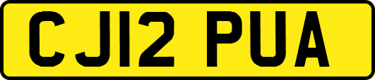 CJ12PUA