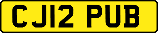 CJ12PUB