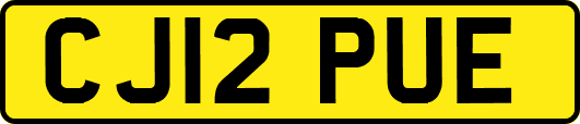 CJ12PUE