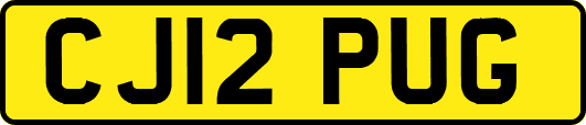 CJ12PUG