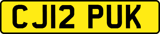 CJ12PUK