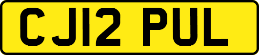 CJ12PUL