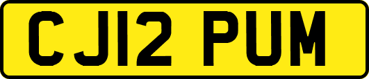 CJ12PUM