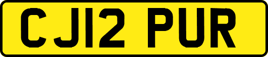 CJ12PUR