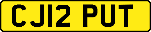 CJ12PUT