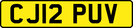 CJ12PUV