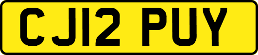 CJ12PUY
