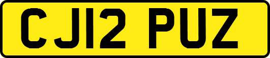CJ12PUZ
