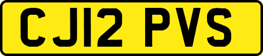 CJ12PVS