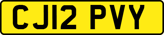 CJ12PVY