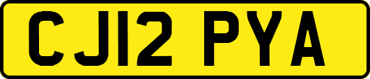 CJ12PYA