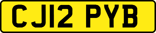 CJ12PYB